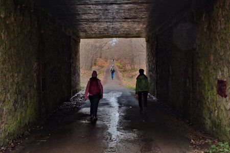 Rando 22-02-26 Rambouillet, DSC_0061