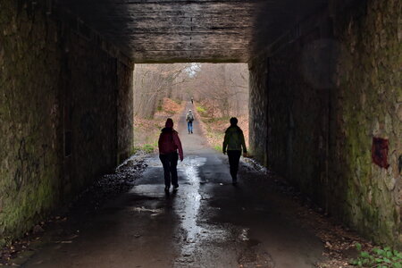 Rando 22-02-26 Rambouillet, DSC_0062