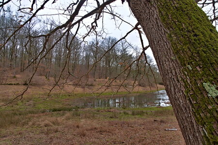 Rando 22-02-26 Rambouillet, DSC_0072