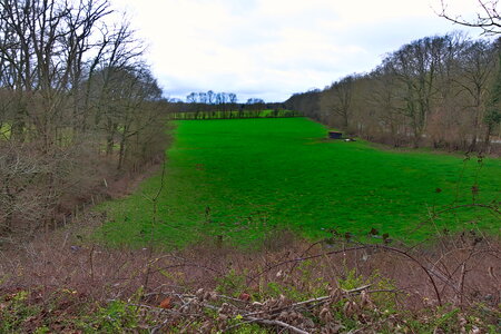 Rando 22-02-26 Rambouillet, DSC_0076