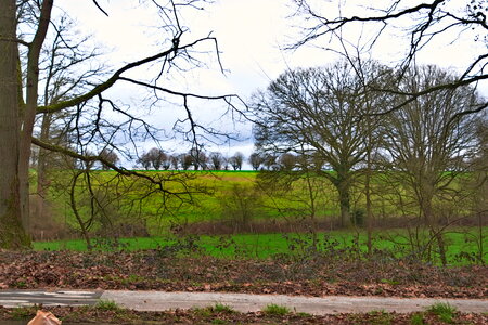 Rando 22-02-26 Rambouillet, DSC_0078