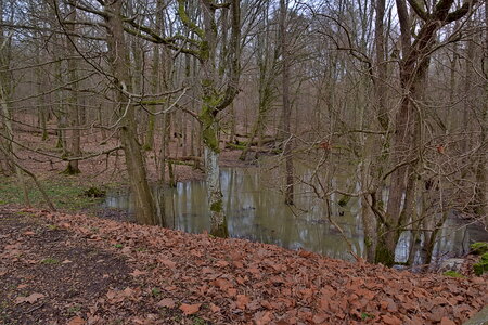 Rando 22-02-26 Rambouillet, DSC_0080