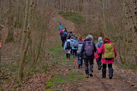 Rando 22-02-26 Rambouillet, DSC_0081