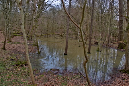 Rando 22-02-26 Rambouillet, DSC_0082