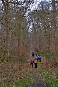 Rando 22-02-26 Rambouillet, DSC_0085