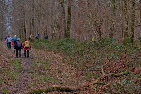 Rando 22-02-26 Rambouillet, DSC_0087