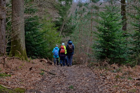 Rando 22-02-26 Rambouillet, DSC_0089