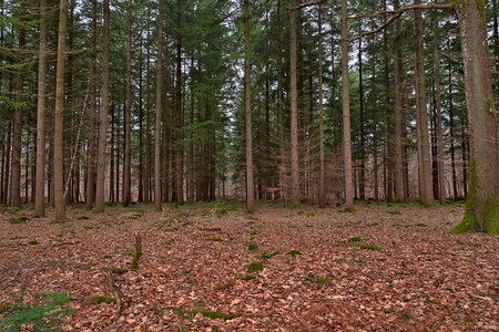 Rando 22-02-26 Rambouillet, DSC_0092