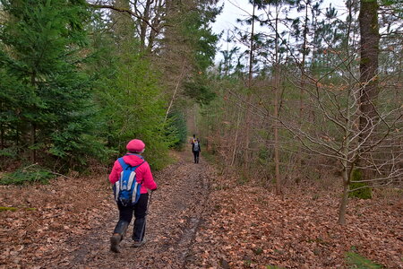 Rando 22-02-26 Rambouillet, DSC_0094