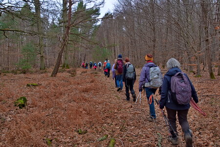 Rando 22-02-26 Rambouillet, DSC_0095