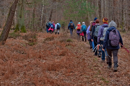 Rando 22-02-26 Rambouillet, DSC_0099