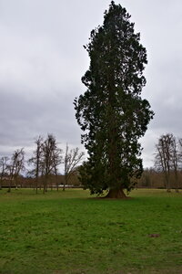 Rando 22-02-26 Rambouillet, DSC_0121