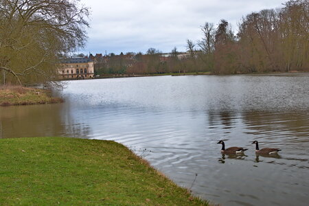 Rando 22-02-26 Rambouillet, DSC_0158