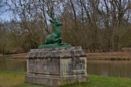 Rando 22-02-26 Rambouillet, DSC_0164