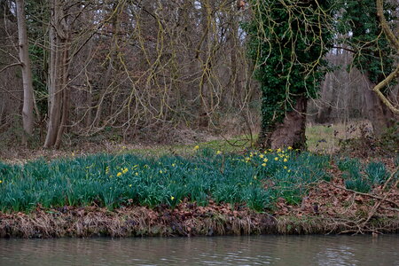 Rando 22-02-26 Rambouillet, DSC_0177