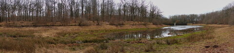 Rando 22-02-26 Rambouillet, DSC00258