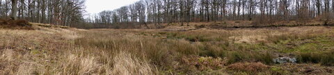 Rando 22-02-26 Rambouillet, DSC00260
