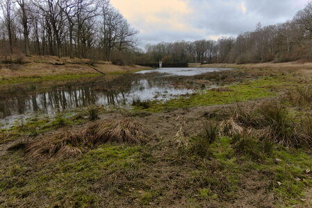 Rando 22-02-26 Rambouillet, DSC00261