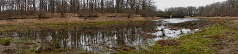 Rando 22-02-26 Rambouillet, DSC00263