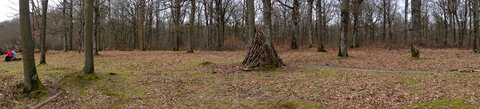 Rando 22-02-26 Rambouillet, DSC00266