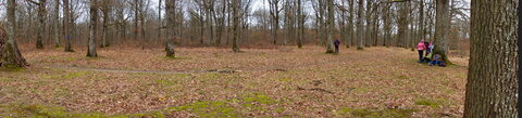 Rando 22-02-26 Rambouillet, DSC00267