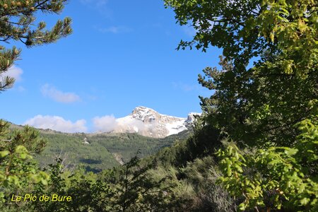Circuit des Cabrettes, T&ecirc;te de la Clappe  Col de Roux  et Cr&ecirc;te de la Barre 004