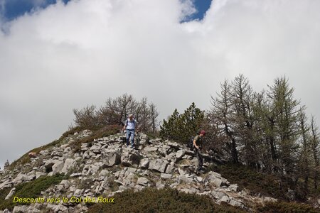 Circuit des Cabrettes, T&ecirc;te de la Clappe  Col de Roux  et Cr&ecirc;te de la Barre 031