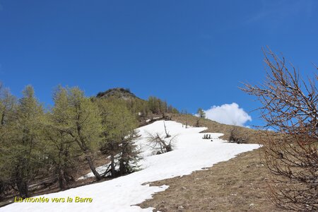 Circuit des Cabrettes, T&ecirc;te de la Clappe  Col de Roux  et Cr&ecirc;te de la Barre 042