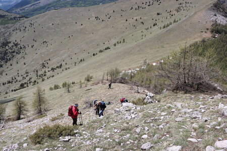 Circuit des Cabrettes, T&ecirc;te de la Clappe  Col de Roux  et Cr&ecirc;te de la Barre 044