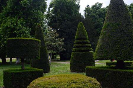 Ecrin_de_la_Brenne, DSCF8505