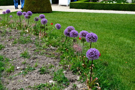 Ecrin_de_la_Brenne, DSCF8509