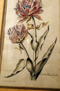 Ecrin_de_la_Brenne, DSCF8523