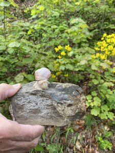 Gigors, IMG_4204