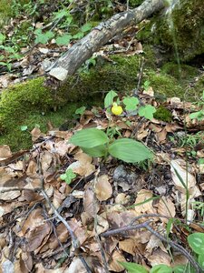 Gigors, IMG_4207