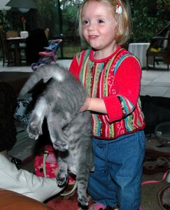 Milla, Petit chat  7 