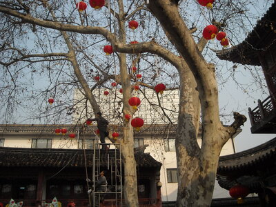 Temple de Confucius, DSCN6087