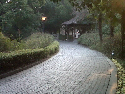 Temple de Confucius, IMG00400-20130129-1608