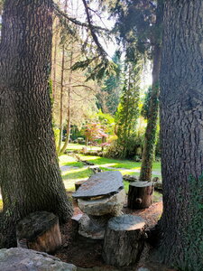 Visite du Monastère de Saint-Naum en Macédoine du Nord, 31
