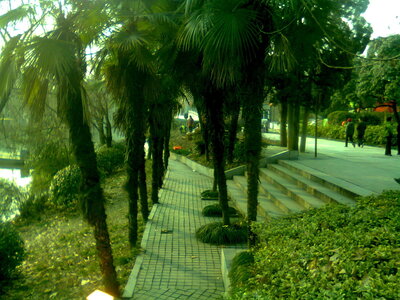 Temple de Confucius, Photo0568