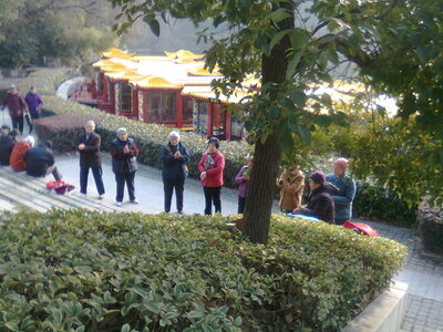 Temple de Confucius, Photo0570