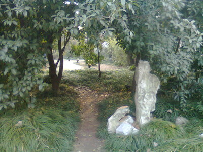 Temple de Confucius, Photo0593