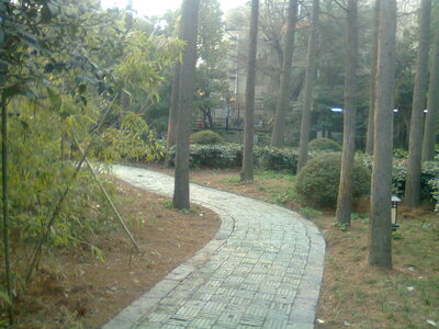 Temple de Confucius, Photo0596