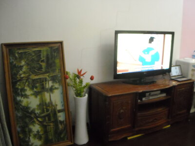 Appartement, DSCN5996