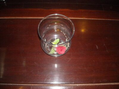 Appartement, DSCN6028