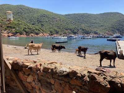 CORSE AVEC MAMAN 05 2026, IMG_8262