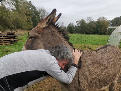 Et Obst! Greffage, IMG_20231024_172513_978