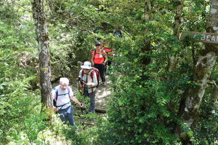 La Montagne d'Aureille, IMG_2083