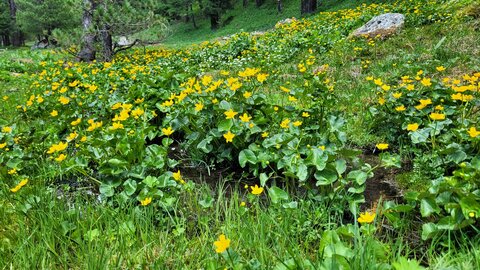 28 05 26 orceyrette, 20260528_144758