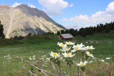 Lac de L'Orceyrette, IMG_2161
