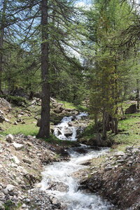 Lac de L'Orceyrette, IMG_2174